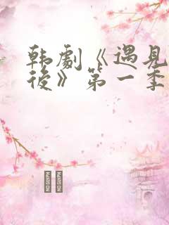 韩剧《遇见你之后》第一季免费观看