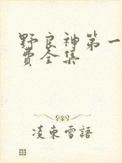 野良神第一季免费全集