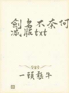 剑名不奈何未删减版txt