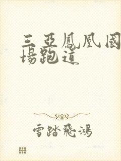 三亚凤凰国际机场跑道