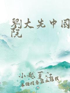 刘大先中国社科院