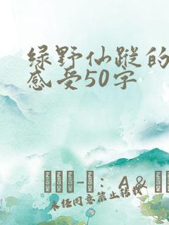 绿野仙踪的阅读感受50字