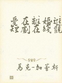 爱在离婚进行时短剧在线观看