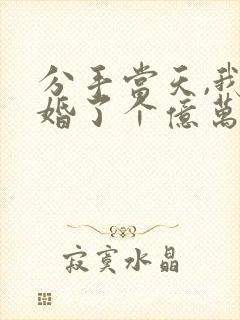 分手当天,我闪婚了个亿万富翁完整版