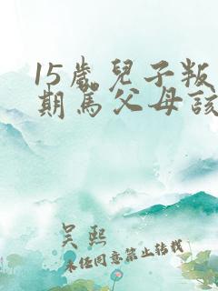 15岁儿子叛逆期骂父母该怎么办