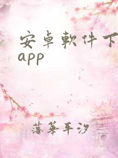 安卓软件下载的app