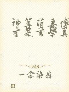 神算萌妻傅太太才是玄学真大佬主角