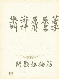 乐游原原著小说叫什么名字