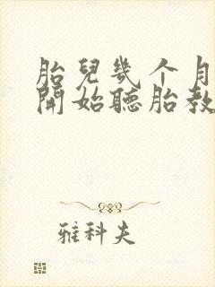 胎儿几个月可以开始听胎教音乐