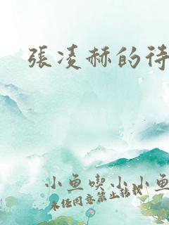 张凌赫的待播剧