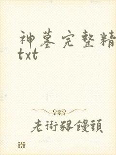 神墓完整精校版txt