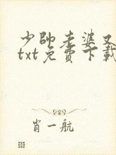 少帅老婆又跑了txt免费下载