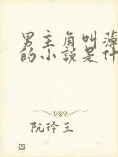 男主角叫薄靳言的小说是什么