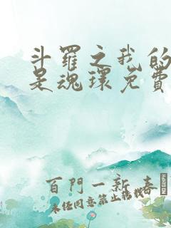 斗罗之我的武魂是魂环免费阅读