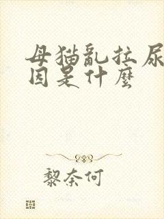 母猫乱拉尿的原因是什么