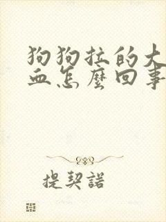狗狗拉的大便带血怎么回事