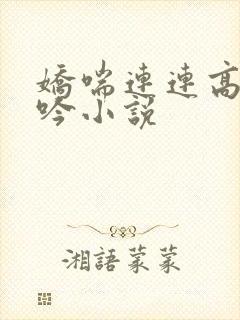 娇喘连连高潮呻吟小说