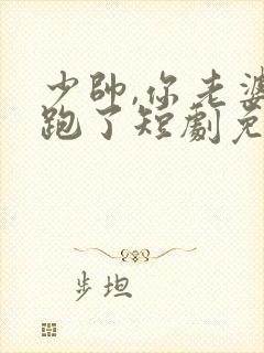 少帅,你老婆又跑了短剧免费大结局