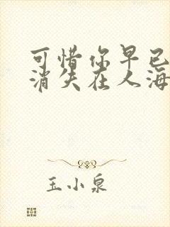 可惜你早已远去消失在人海是哪首歌