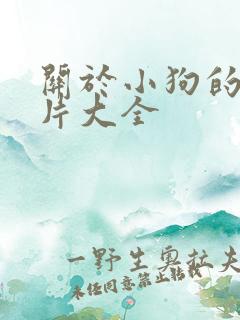 关于小狗的动画片大全