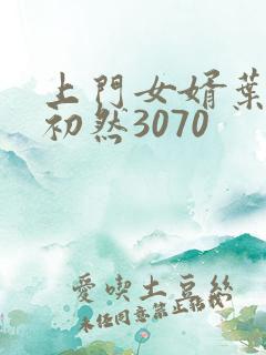 上门女婿叶辰萧初然3070