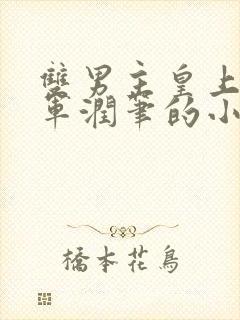 双男主皇上用将军润笔的小说
