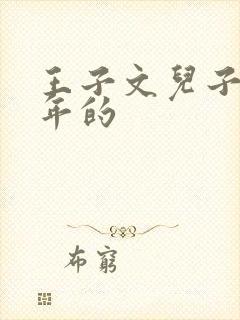 王子文儿子哪一年的