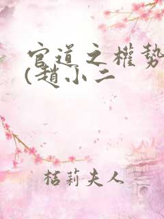 官道之权势滔天(赵小二