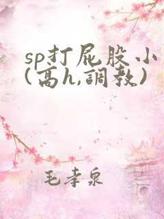 sp打屁股小说(高h,调教)