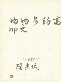 肉肉多的高h np文
