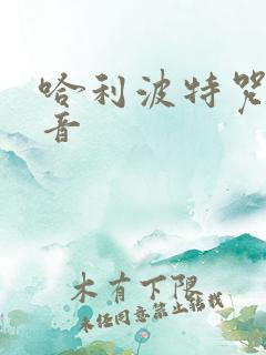 哈利波特咒语发音