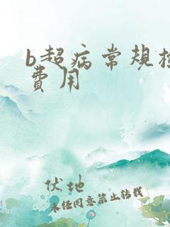 b超病常规检查费用