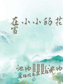 在小小的花蕾深处