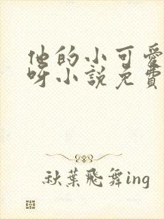 他的小可爱超甜呀小说免费阅读