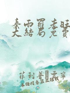 秦雨罗老旺小说大结局免费阅读