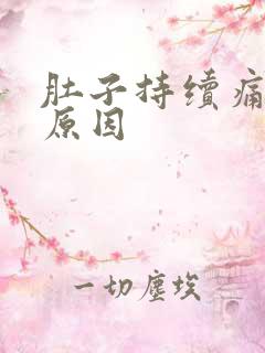 肚子持续痛什么原因