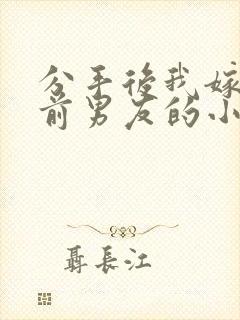 分手后我嫁给了前男友的小叔免费阅读