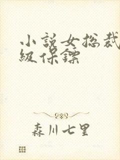 小说女总裁的神级保镖