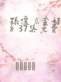 孙俪《蛮好人生》37集免费观看