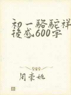 初一骆驼祥子读后感600字