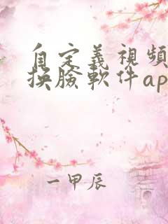 自定义视频ai换脸软件app