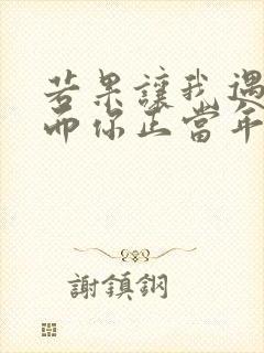若果让我遇见你而你正当年轻是什么歌