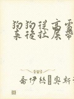 狗狗从高处摔下来后拉屎带血