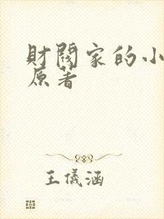 财阀家的小儿子原著