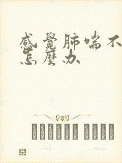 感觉肺喘不上气怎么办