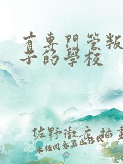 有专门管叛逆孩子的学校