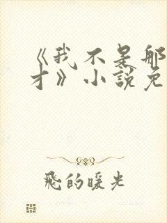 《我不是那种人才》小说免费阅读