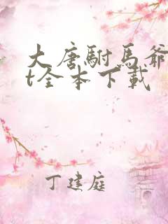 大唐驸马爷txt全本下载