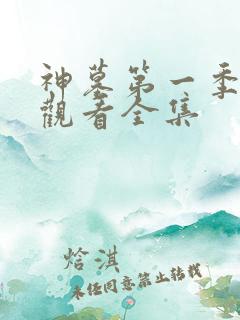 神墓第一季免费观看全集