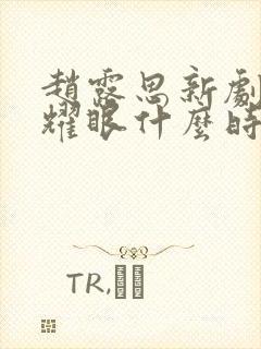 赵露思新剧许我耀眼什么时候播